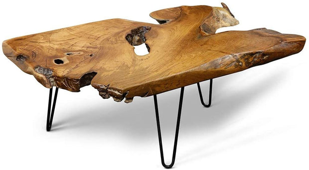 Badang Carving Natural Wood Edge Teak Contemporary Coffee Cocktail Table with Clear Lacquer Finish and Metal Hairpin Legs for Living Room